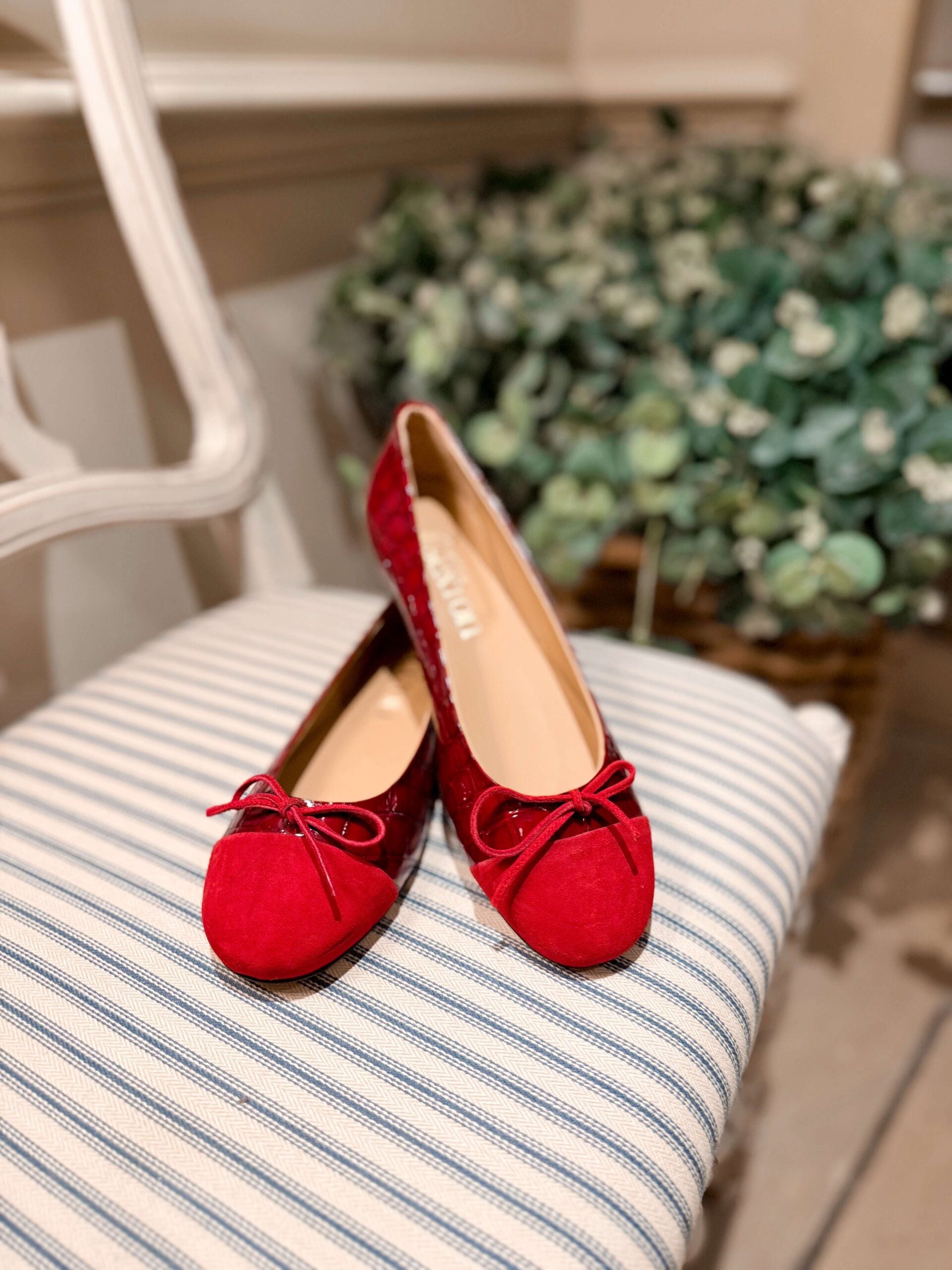 Berry Ballet Pump